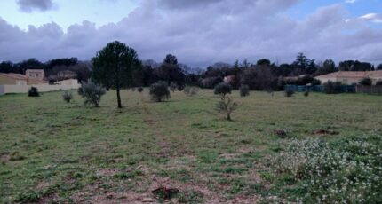 Canet Terrain à bâtir - 2445802-11040annonce120260303hRqOB.jpeg Maisons Open