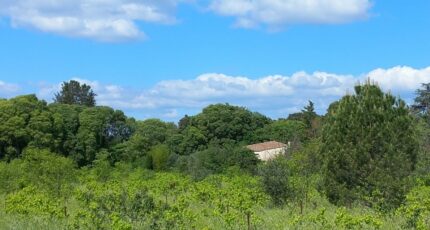 Beauvoisin Terrain à bâtir - 2445868-11040annonce120260303Fqn2Q.jpeg Maisons Open