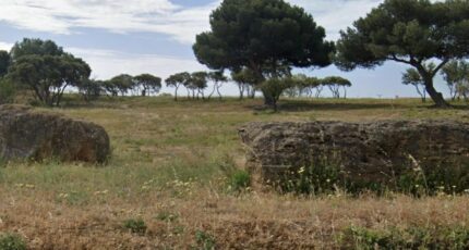 Fos-sur-Mer Terrain à bâtir - 2401919-7054annonce320260122u92GD.jpeg Maisons Open