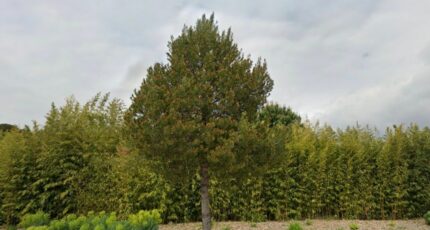 Fos-sur-Mer Terrain à bâtir - 2401999-7054annonce220260122Txd5E.jpeg Maisons Open