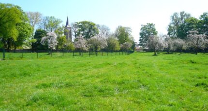 Émalleville Terrain à bâtir - 2446021-10332annonce120260303CLCvZ.jpeg Maisons Open