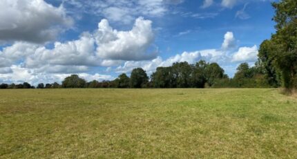 Vaucelles Terrain à bâtir - 2445941-11660annonce120251114UdQBc.jpeg Maisons Open