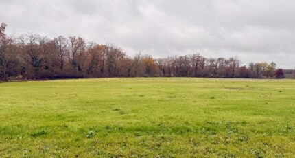 Ribagnac Terrain à bâtir - 2446023-11709annonce420260303m8Thq.jpeg Maisons Open