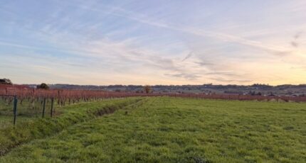 Saint-Laurent-des-Vignes Terrain à bâtir - 2446049-11709annonce120260303432uA.jpeg Maisons Open