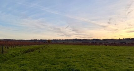 Saint-Laurent-des-Vignes Terrain à bâtir - 2446049-11709annonce1202603036y5vV.jpeg Maisons Open