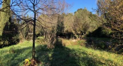 Carnoules Terrain à bâtir - 2446142-4866annonce320260303z8rRa.jpeg Maisons Open