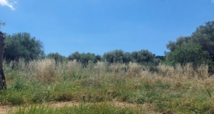 Opio Terrain à bâtir - 2446350-1837annonce320260303zvo3N.jpeg Maisons Open