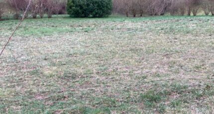 Saintes Terrain à bâtir - 2445846-10974annonce120260303Ct4fu.jpeg Maisons Open