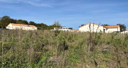 Villedieu-la-Blouère Terrain à bâtir - 2446575-11353annonce1202603034li8a.jpeg Maisons Open