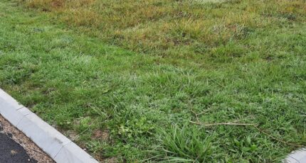 Artannes-sur-Indre Terrain à bâtir - 2351322-10999annonce120260128Kk5VP.jpeg Maisons Open