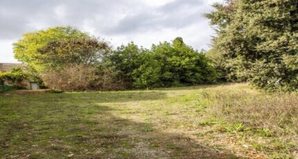 Saint-Branchs Terrain à bâtir - 2405496-10999annonce120260124G8TSf.jpeg Maisons Open