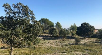 Lirac Terrain à bâtir - 2446749-617annonce120251024HdMD8.jpeg Maisons Open