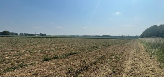 Terrain à bâtir à , Pas-de-Calais