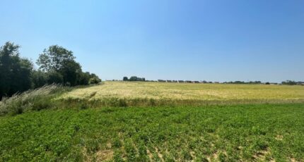 Wailly Terrain à bâtir - 2447129-10222annonce120260304Oyv7U.jpeg Maisons Open