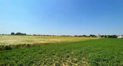 Wailly Terrain à bâtir - 2447129-10222annonce320260304P9SkD.jpeg Maisons Open