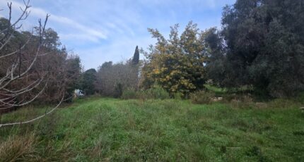 Valbonne Terrain à bâtir - 2447115-11201annonce120260304VuMOw.jpeg Maisons Open