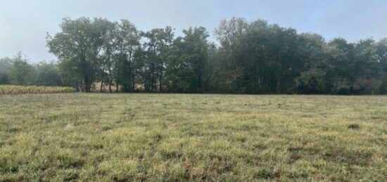 Terrain à bâtir à Labastide-d'Armagnac, Nouvelle-Aquitaine
