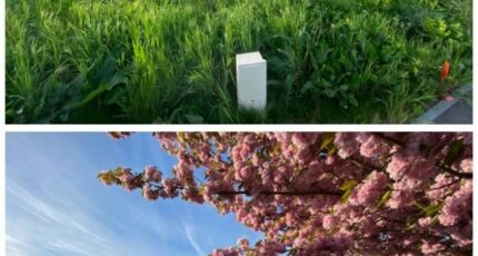 Heudreville-sur-Eure Terrain à bâtir - 2412936-11733annonce120260130PwTaT.jpeg Maisons Open