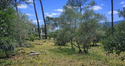 Garéoult Terrain à bâtir - 2447602-11137annonce220260304nCwfB.jpeg Maisons Open