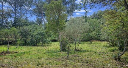 Garéoult Terrain à bâtir - 2447602-11137annonce320260304WINHJ.jpeg Maisons Open