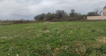 Salles-d'Aude Terrain à bâtir - 2447619-11782annonce120260304Nl5Pd.jpeg Maisons Open