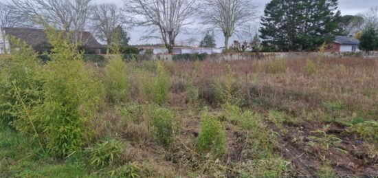Terrain à bâtir à Lesperon, Nouvelle-Aquitaine