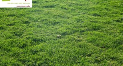 Notre-Dame-de-Monts Terrain à bâtir - 2350381-7159annonce120251127qOI4q.jpeg Maisons Open