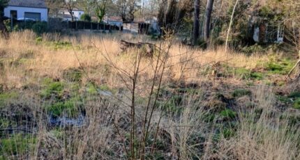 Soullans Terrain à bâtir - 2445722-11728annonce120260303bzw0w.jpeg Maisons Open