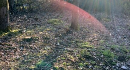 Soullans Terrain à bâtir - 2445722-11728annonce4202603034R5Qu.jpeg Maisons Open