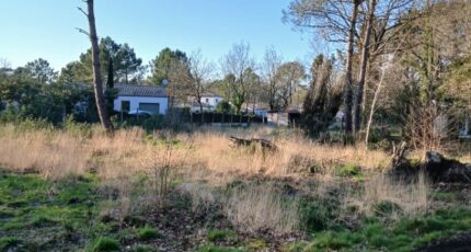 Soullans Terrain à bâtir - 2445722-11728annonce520260303oPCIi.jpeg Maisons Open