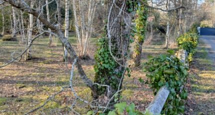 Soullans Terrain à bâtir - 2446824-11728annonce120260304arBtf.jpeg Maisons Open