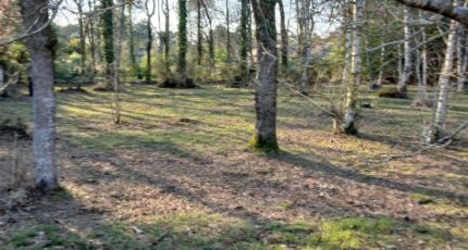 Soullans Terrain à bâtir - 2446824-11728annonce220260304mWN7q.jpeg Maisons Open