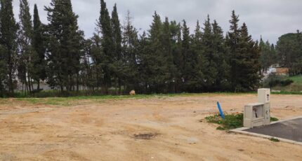 Narbonne Terrain à bâtir - 2447864-annonceTerrain-20260304182553.JPEG Maisons Open