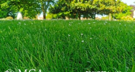 Salaunes Terrain à bâtir - 2448175-3957annonce1202603054tuXi.jpeg Maisons Open