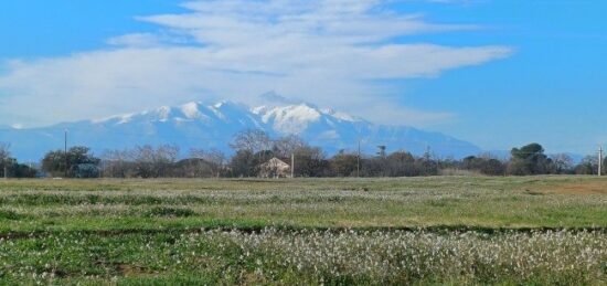 Terrain à bâtir à Villeneuve-de-la-Raho, Occitanie