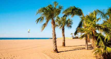 Sérignan Terrain à bâtir - 2448541-11018annonce320260305fK3dd.jpeg Maisons Open