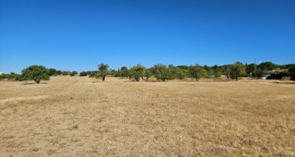 Pertuis Terrain à bâtir - 2352126-2970annonce120251128QzJ3p.jpeg Maisons Open