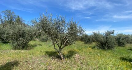 Sainte-Tulle Terrain à bâtir - 2448760-2970annonce320260305rxNvg.jpeg Maisons Open