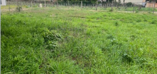 Terrain à bâtir à Ayguemorte-les-Graves, Nouvelle-Aquitaine