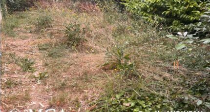 Loupiac Terrain à bâtir - 2443805-3601annonce1202602278cgrf.jpeg Maisons Open