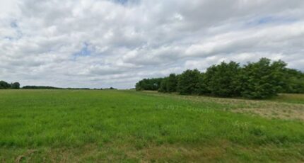 Vallères Terrain à bâtir - 2406590-9897annonce120260126bX4HL.jpeg Maisons Open