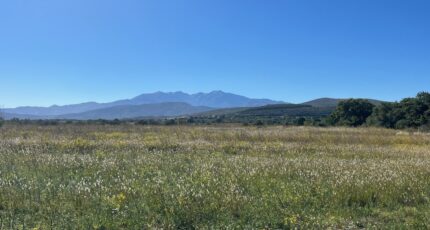 Llupia Terrain à bâtir - 2449180-4671annonce120260306zHwWT.jpeg Maisons Open