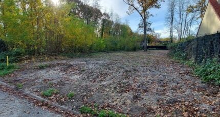 Larchant Terrain à bâtir - 2444297-11767annonce120260228BwDpP.jpeg Maisons Open