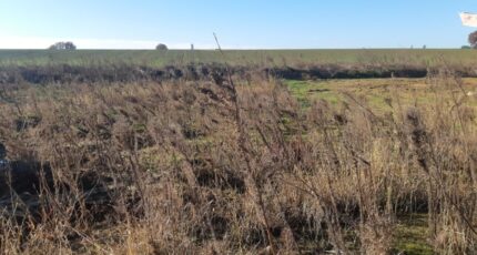 Gagnac-sur-Garonne Terrain à bâtir - 2449101-5202annonce2202603066TkVv.jpeg Maisons Open