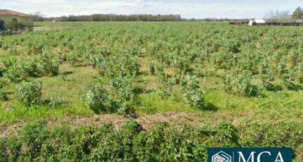 Onard Terrain à bâtir - 2449479-5828annonce120250829Ouoq1.jpeg Maisons Open