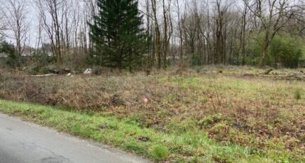 Eysines Terrain à bâtir - 2449609-11689annonce120251127K8RLJ.jpeg Maisons Open