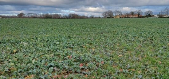 Terrain à bâtir à , Vendée