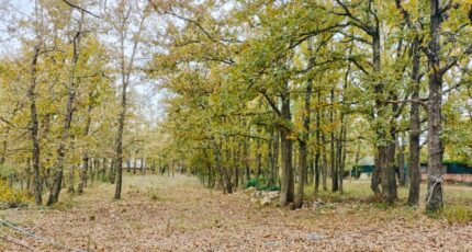 Trans-en-Provence Terrain à bâtir - 2449565-9911annonce120260306ZUQ0w.jpeg Maisons Open