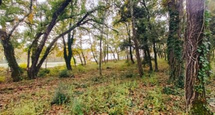 Trans-en-Provence Terrain à bâtir - 2449565-9911annonce2202603069F29Q.jpeg Maisons Open