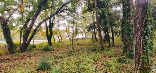 Terrain à bâtir à , Var